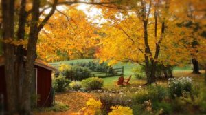 Fall garden