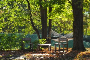 Relax in a hammock on the grounds